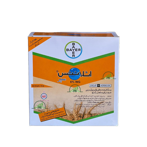 Atlantis Super 160gm