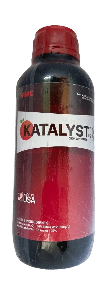 Katalyst 1LTR