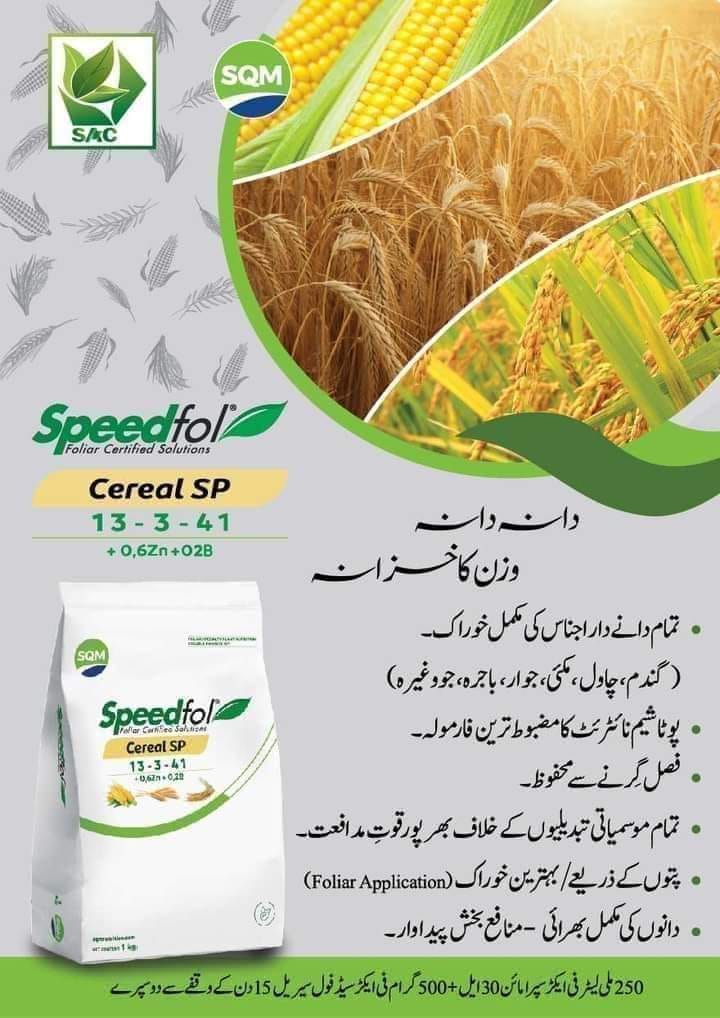 Speed fol high k cereal sp npk 13 3 41 + te 1kg soluble fertilizer sqm ...