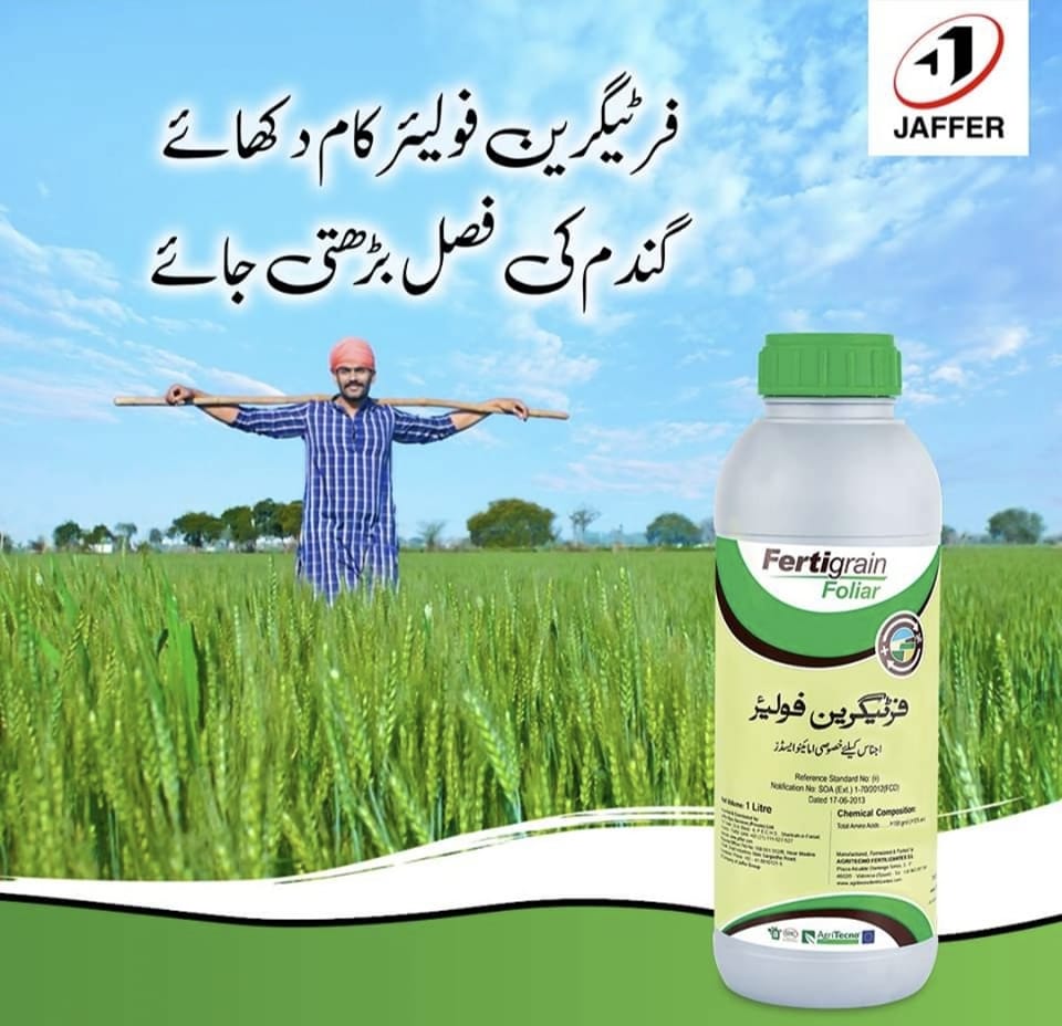 Fertigrain Foliar 1L Jaffer Agro Services (Amino Acids)
