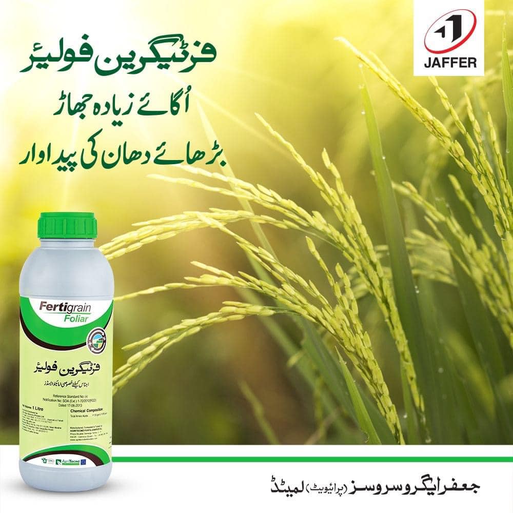 Fertigrain Foliar 1L Jaffer Agro Services (Amino Acids)