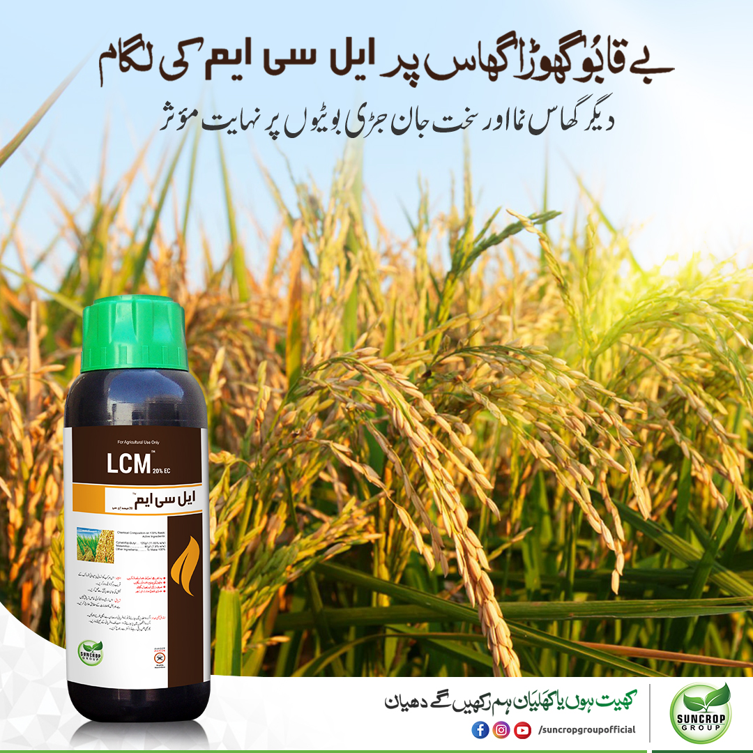 LCM Suncrop 20% 600ml