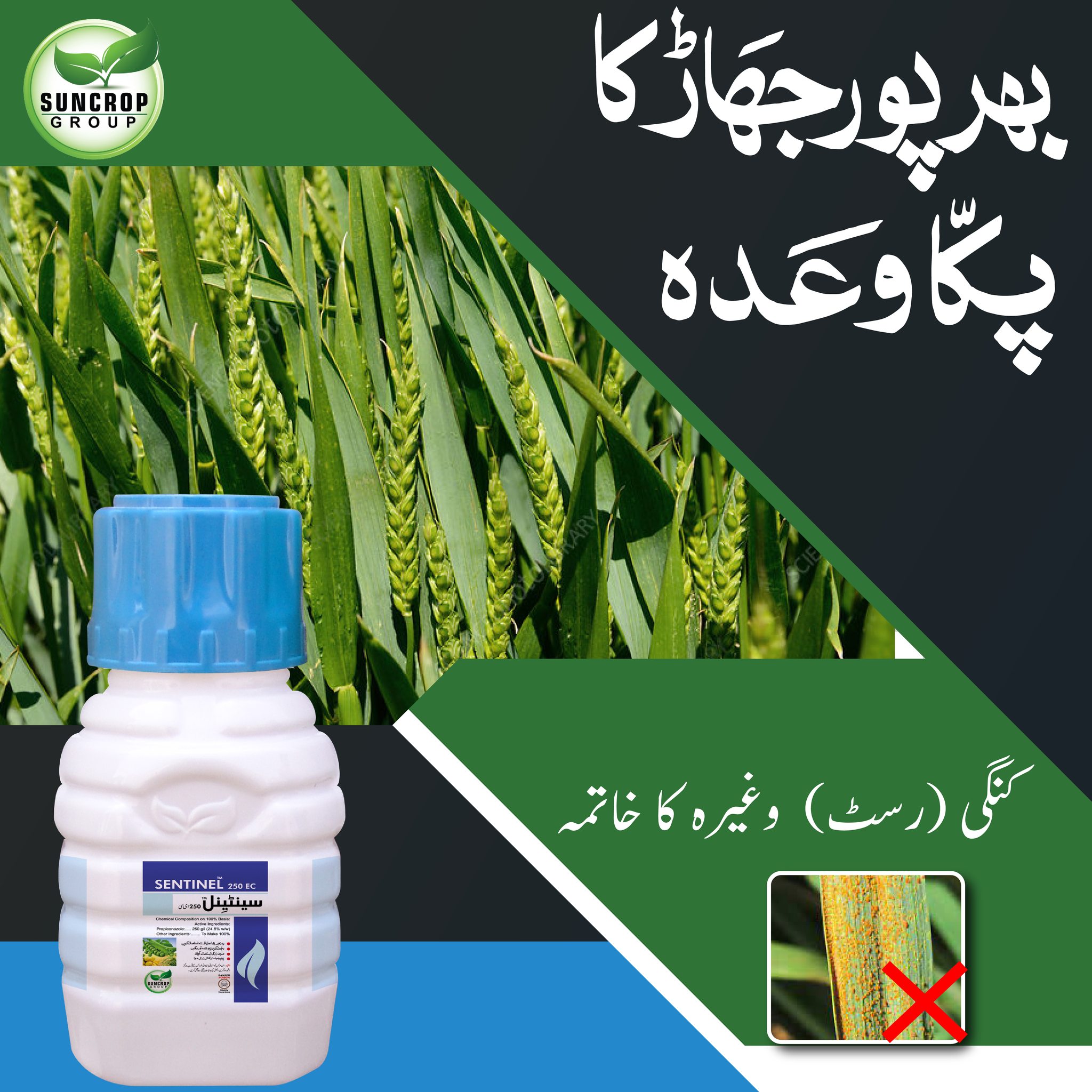 Sentinel Suncrop 250EC 200ml