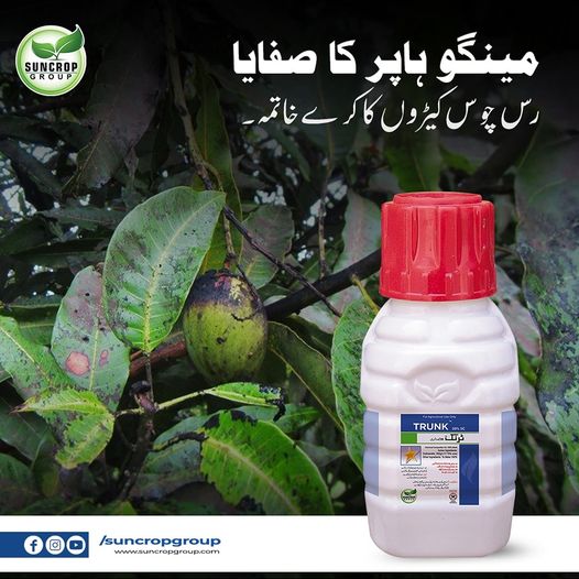 Trunk Suncrop 20% SC