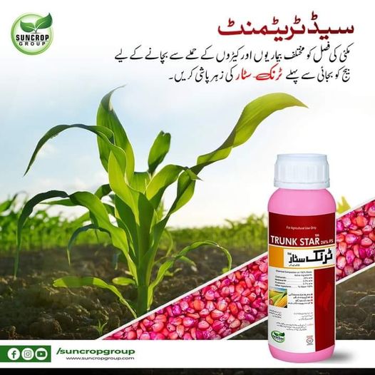 Trunk Star 500ml Suncrop