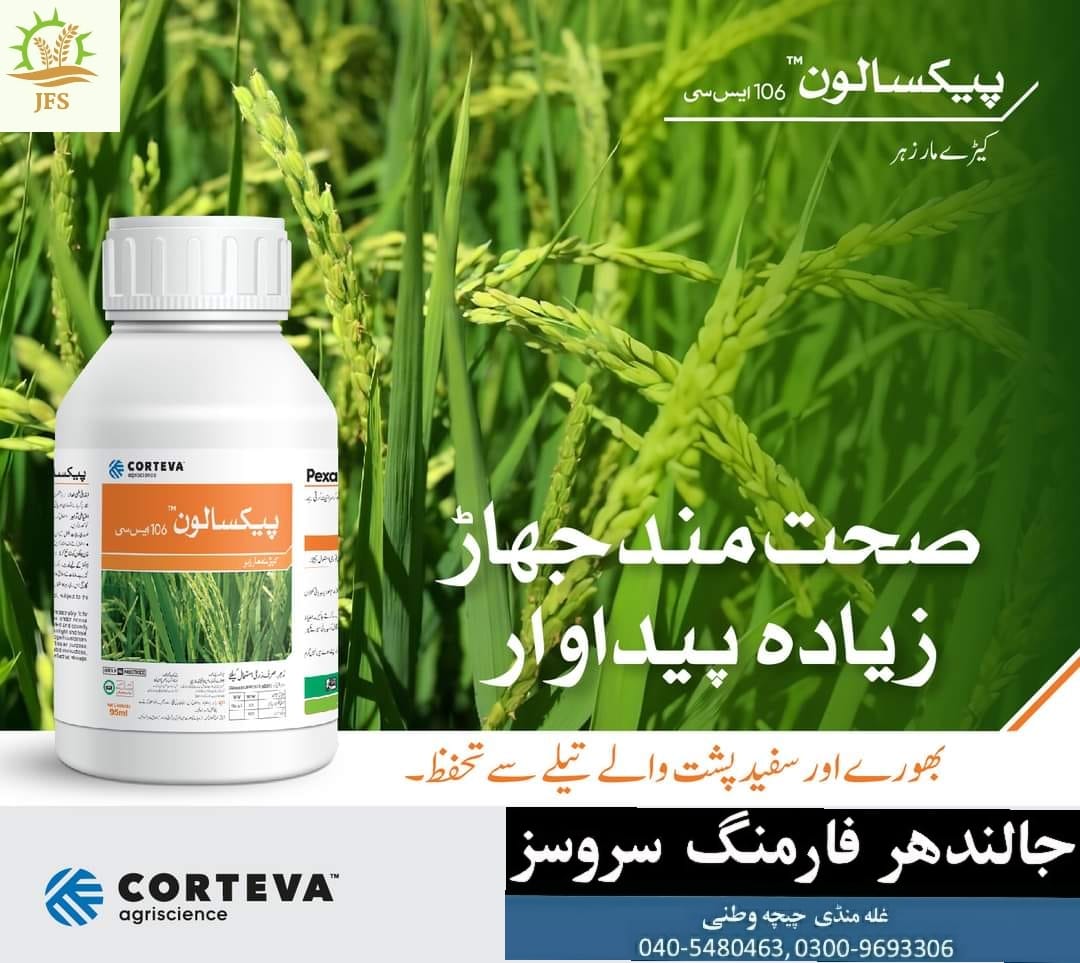Pexalon 106sc 95ml Triflumezopyrim 10sc Corteva Agriscience