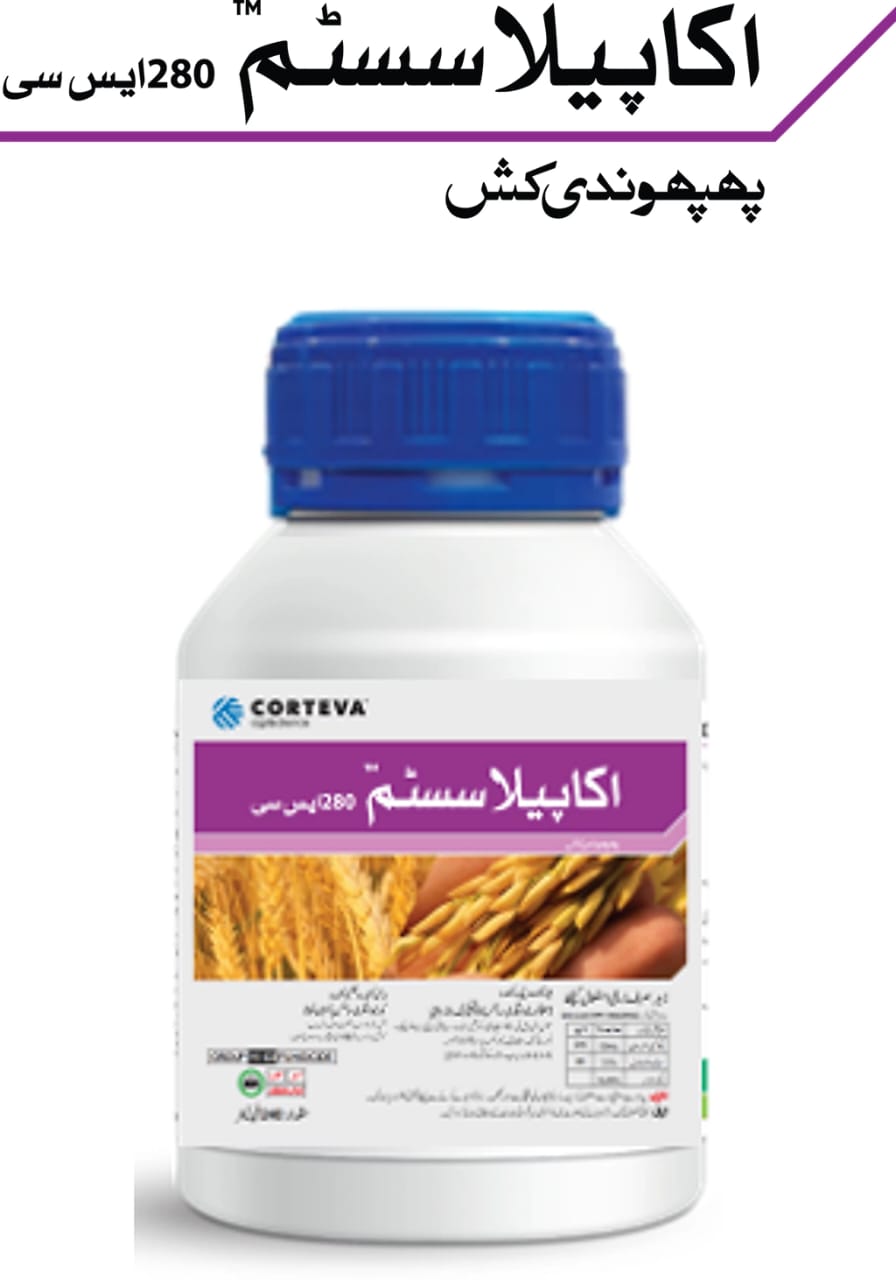 Acapela System 280SC Corteva 240ml