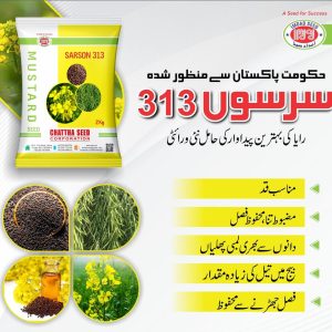 Sarson 313 Raya seeds 2 kg