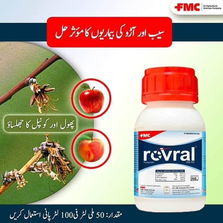 Rovral ® 500sc Iprodione 200ml Fmc Fungicide