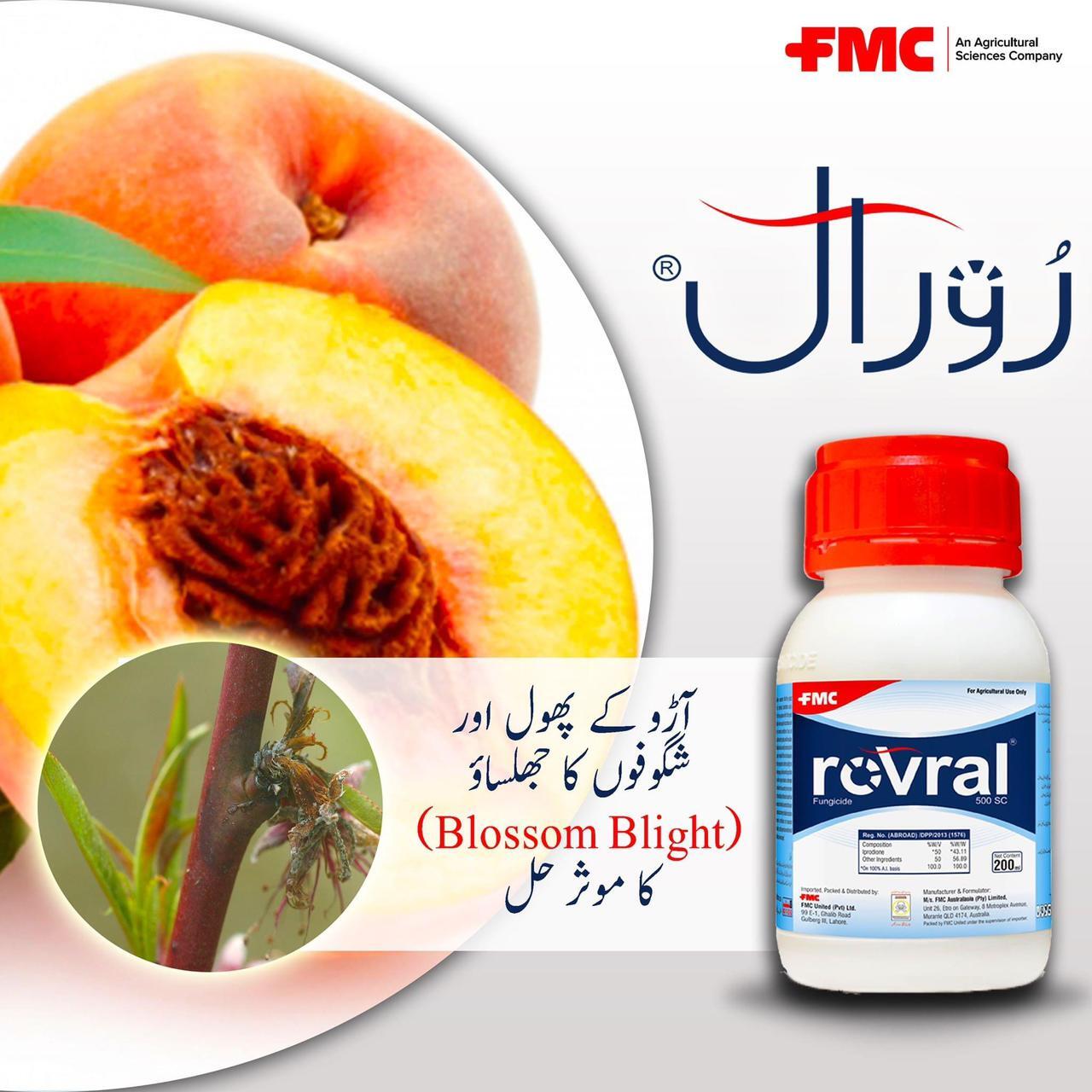 Rovral ® 500sc Iprodione 200ml Fmc Fungicide